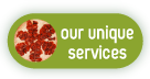 Our Services