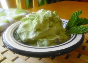 mint chocolate chip ice cream 2 mint chocolate chip ice cream 2