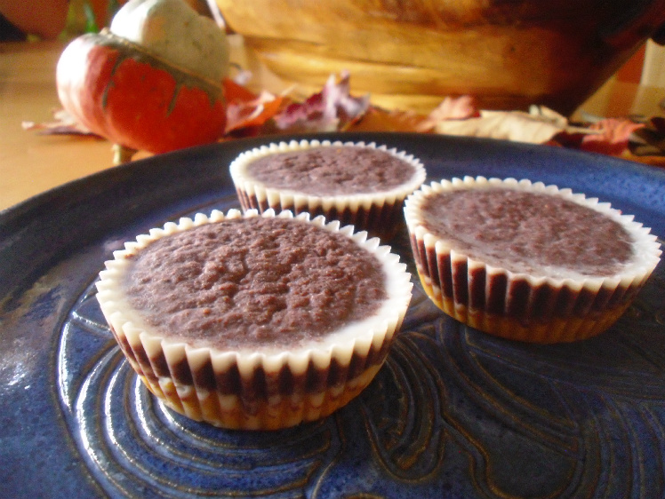 Sunbutter or Peanut Butter Cup Recipe (GAPS, Paleo, dairyfree